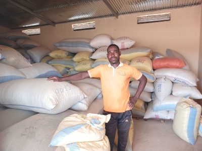 08 I CEREALI A MANE'